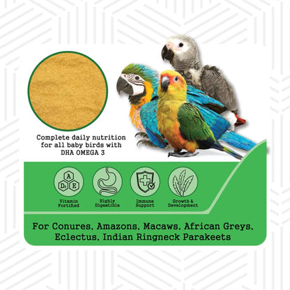 PETSLIFE Hand Feeding Formula for Baby Birds, 250g