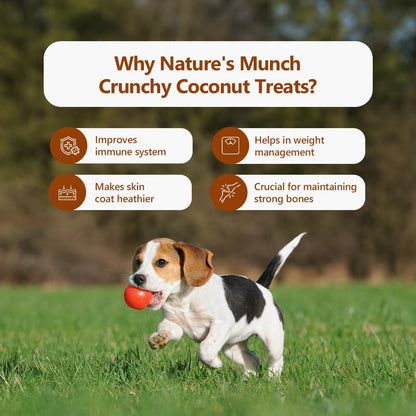 Pawfect 100% Natural Freeze-Dried Coconut Treats for Dogs | Single Ingredient | Vegan Treats | Grain & Gluten Free | Low Calorie Training Treats (50g)