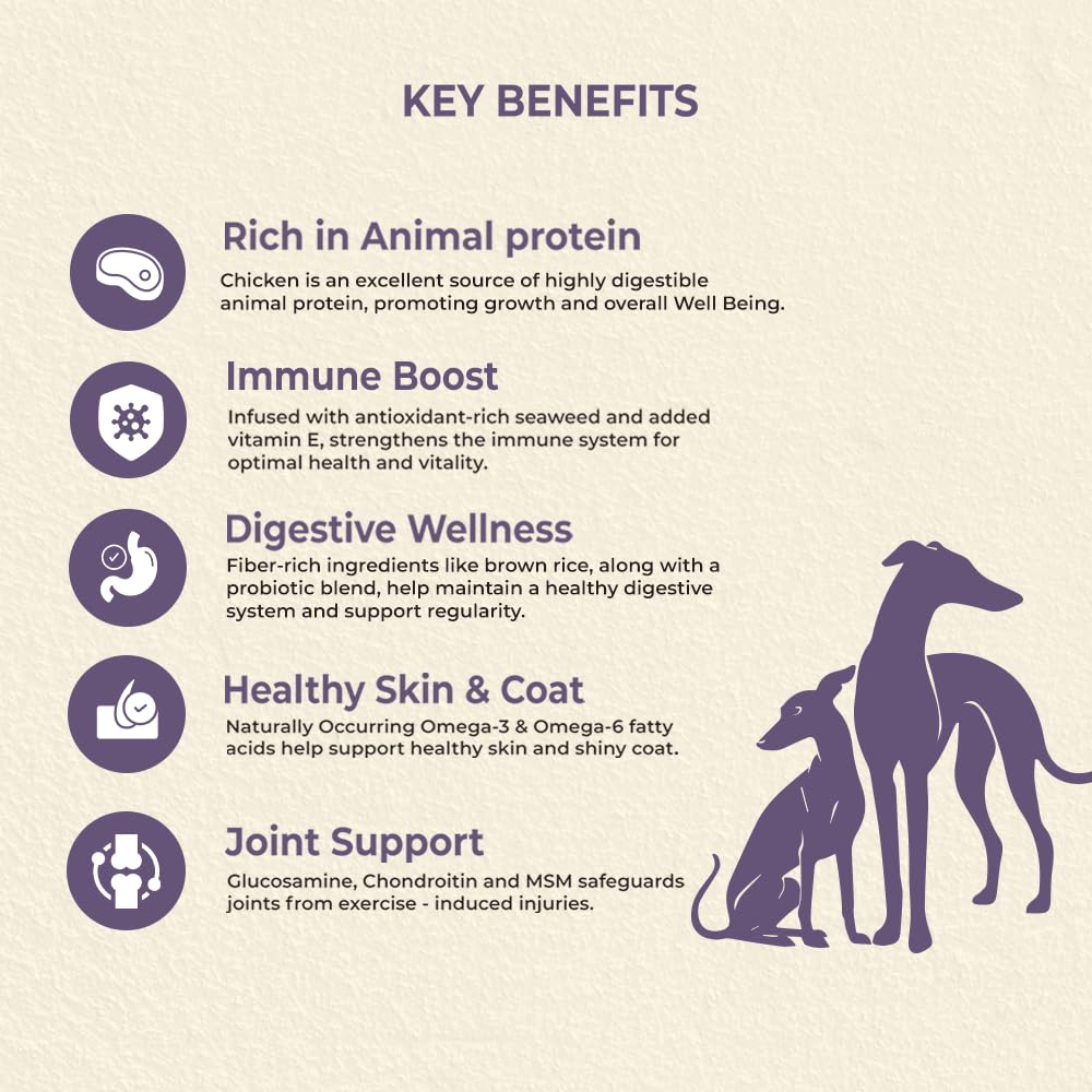 Brunos Dry Dog Food Puppy & Junior 250g (Pack of 1) | Chicken Formula with Salmon Oil & Herbs | 26% Protein & 16% Fat | for Growing Puppies of All Breeds | Supports Growth, Digestion & Bone Health