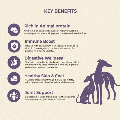 Brunos Dry Dog Food Puppy & Junior 250g (Pack of 1) | Chicken Formula with Salmon Oil & Herbs | 26% Protein & 16% Fat | for Growing Puppies of All Breeds | Supports Growth, Digestion & Bone Health