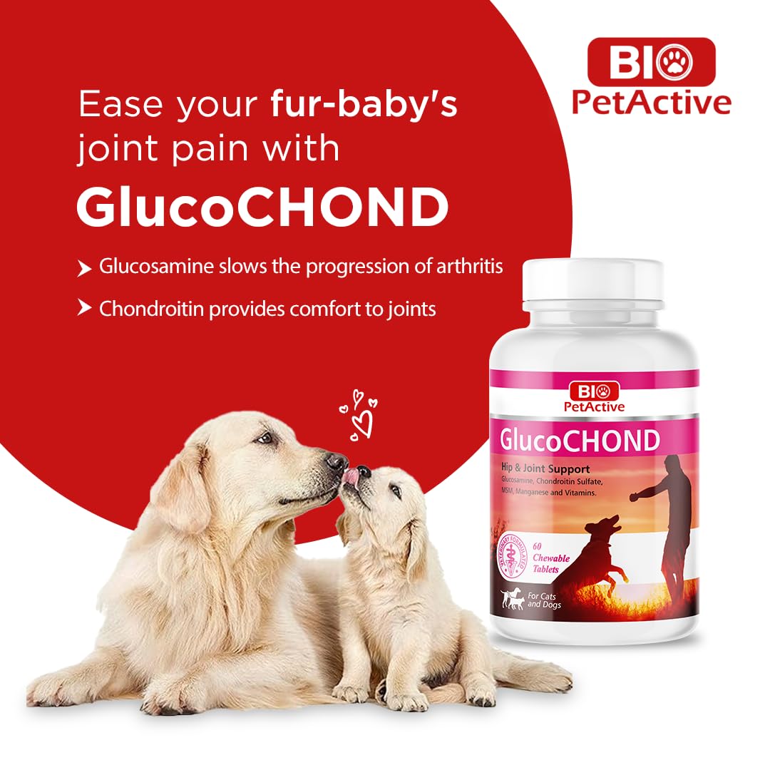 Bio PetActive GlucoChond Hip & Joint Support Chewable Tablets Suitable for Cats & Dogs,60 Chewable (30 Tablets)