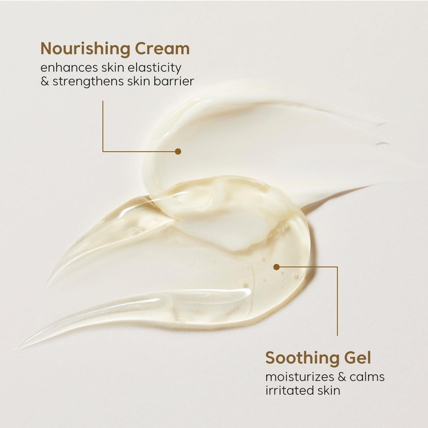 THANKYOU FARMER Rice Pure Gel & Cream (80ml) 2-In-1 Moisturizer With Blend Of Soothing Gel, Hydrating, Nourishing Cream for Dry & Sensitive Skin with Rice Extract, Ceramide & Niacinamide | Korean Daily Face Moisturizer