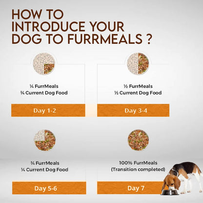 FurrMeals Wet Dog Food | Chicken and Pasta | Pack of 1 x 200g | All Breed | Gluten Free | Preservative Free | Ready-to-Eat Fresh Dog Food