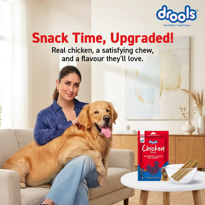 Drools Puppy & Adult Dog Treats Sticks 100g | Blueberry Flavour | Rich in Protein | No Artificial Preservatives | Best for Training & Bonding | Formulated in USA | Premium Treats