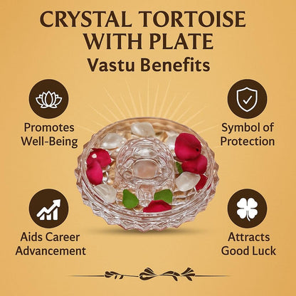 SAUDEEP INDIA Feng Shui Crystal Tortise with Plate for Good Luck with Family/Couple Rakhi Set Brother Bhabhi & Kids | Turtle for Vastu Home Decor(Couple Rakhi with Gift Hamper)