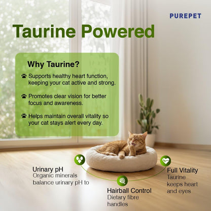 Purepet Adult Dry Cat Food 1kg Pack | Chicken & Vegetable Flavour | Prevents Hairballs | Supports Heart Function | Promotes Skin Wellness | Enriched with Taurine