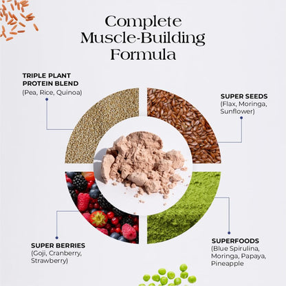 Diagram of a complete muscle-building formula with protein blend, seeds, berries, and superfoods.