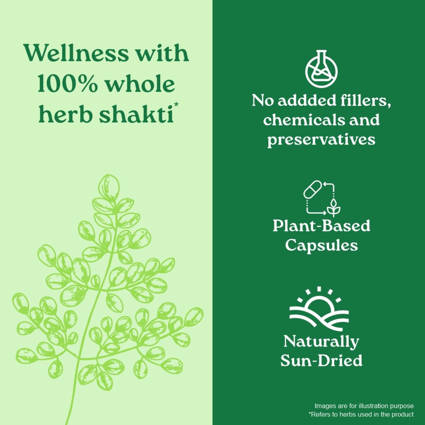 Promotional graphic for 'Wellness with 100% whole herb shakti' product, highlighting plant-based capsules and natural ingredients.