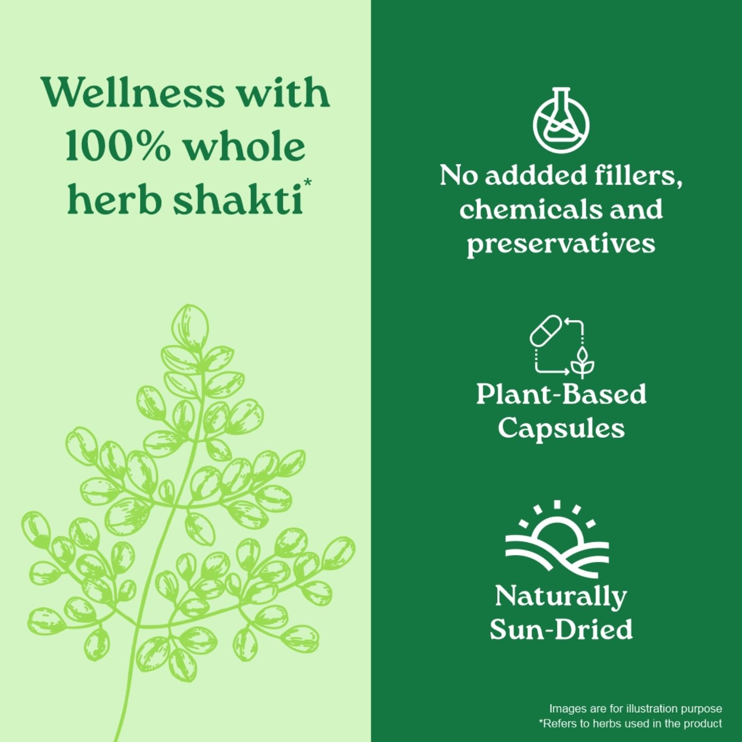 Promotional graphic for 'Wellness with 100% whole herb shakti' product, highlighting plant-based capsules and natural ingredients.