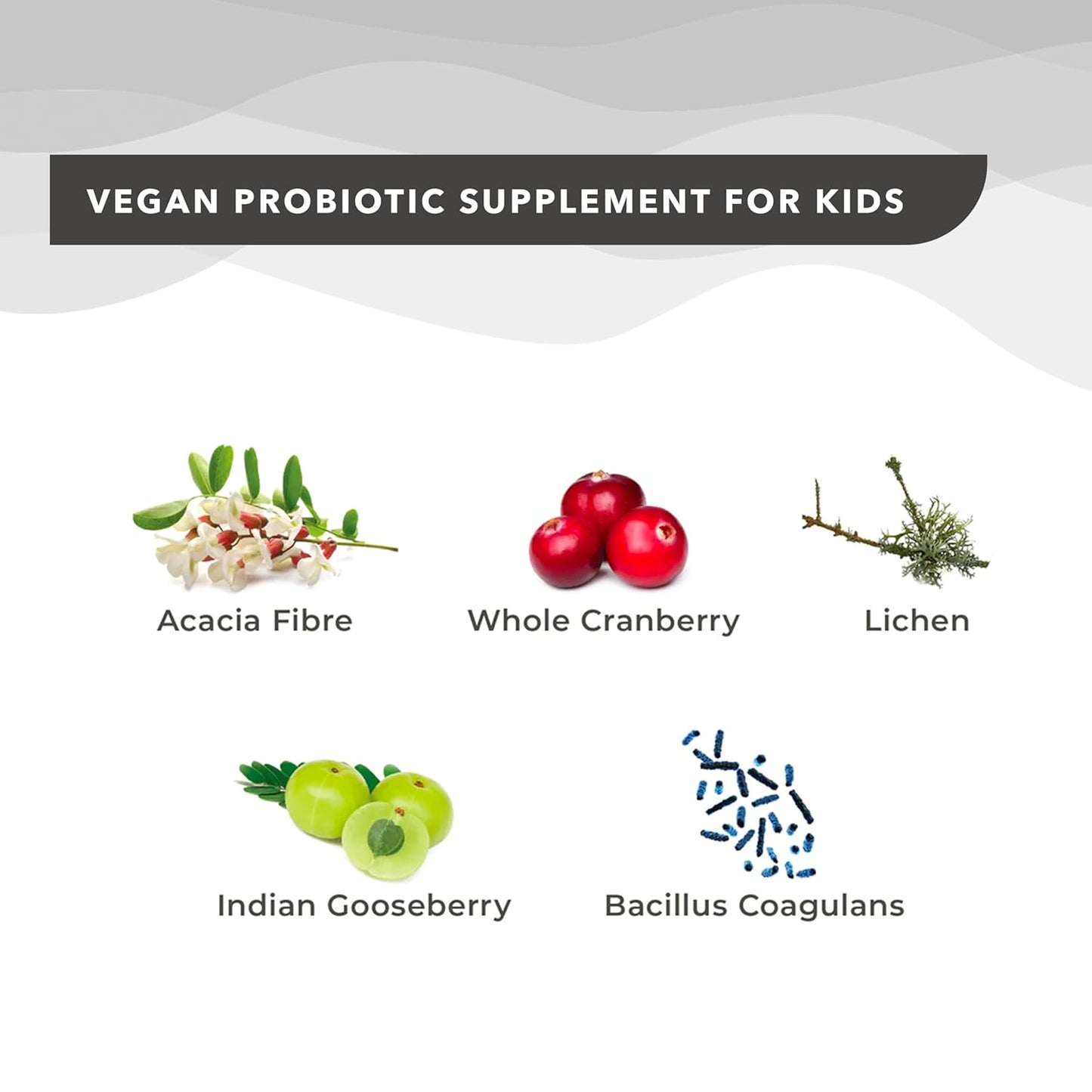 Wellbeing Nutrition Marvel Thor Melts | Active Probiotics & Prebiotics for Kids (6+) to Improve Digestion, Immunity & Gut Health | Kids Health Supplement | Sweet Cherry Flavor (30 Oral Strips)