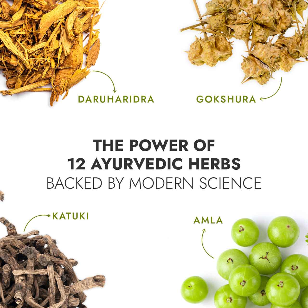 Ayurvedic herbs with labels and text on a white background