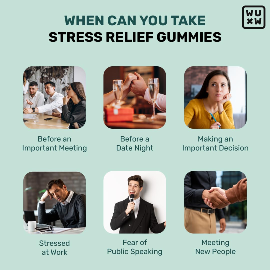 What's Up Wellness Stress Relief Gummies | For Men & Women with Chamomile, Passion Flower, L-theanine, Sage & Holy Basil, Reduces Stress, Anxiety and Improves Sleep - 30 Gummy Pack