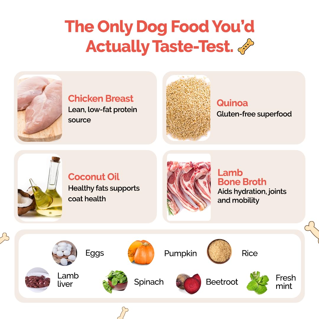 Goofy Tails Lamb & Pumpkin Wet Dog Food 200g (200g X 1 Pack), Wholesome, Human Grade, Preservative & Gluten Free, Taste Booster & Food Topper