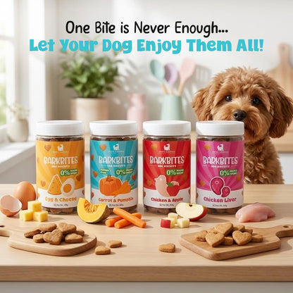 PETS EMPIRE BARKBITES Carrot & Pumpkin Biscuit Jar for Dogs 350g – Healthy Dog Treats with No Maida, No Sugar, No Salt – Nutritious & Crunchy Biscuits for Training and Rewards