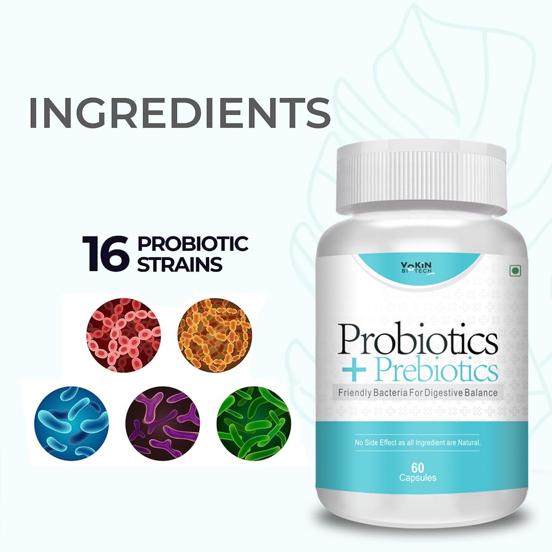 Probiotics supplement bottle with '16 Probiotic Strains' text and colorful菌illus icons on a white background.