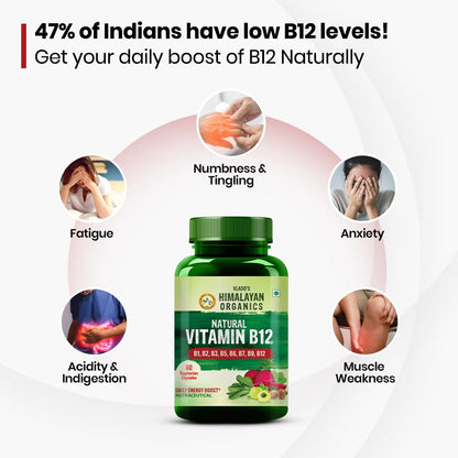 Vlado’s Himalayan Organics Plant-Based Vitamin B12 with B-Complex & Moringa | Energy, Nerve & Brain Support | 60 Veg Capsules