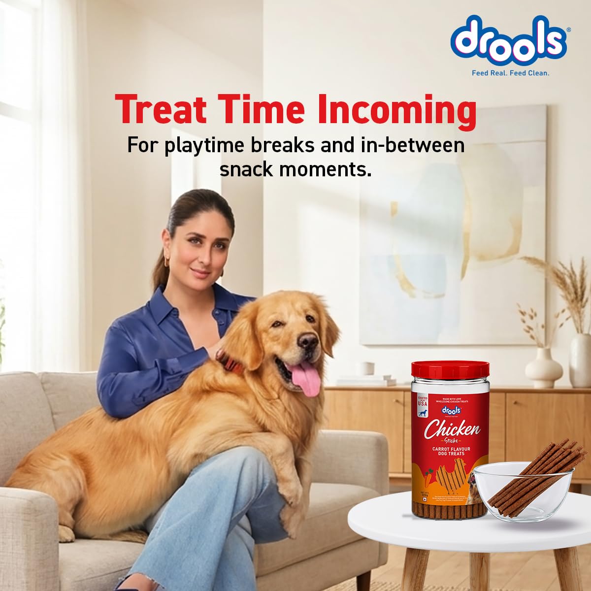 Drools Real Chicken & Carrot Flavor Dog Treat Sticks, Delicious Training & Reward Treats for Dogs, 500g