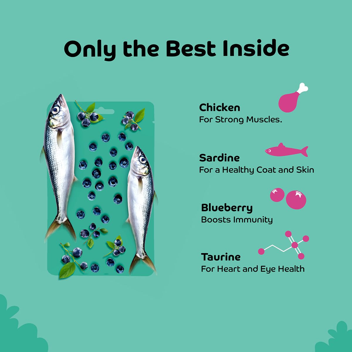 Applod Sardine with Blueberry Soft Cat Treats for Kittens & Adult Cats | Made with Real Sardine | Grain-Free Protein-Rich Snacks with Taurine & No Fillers | 35g