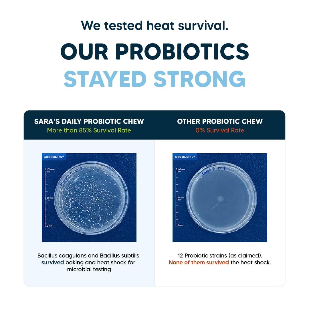Sara’s Daily Probiotic Chews for Dogs – 70g | Gut & Digestive Health Treats | Supports Digestion, Immunity & Overall Wellness | All Breeds, Puppies & Adults