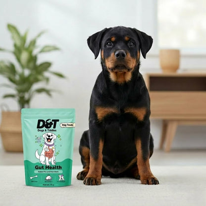 Dogs & Tiddles Gut Health Dog Treats for Puppies & Adult Dogs, 70g | Soft & Chewy Real Chicken Treats | with Postbiotics | Supports Digestion & Digestive Health