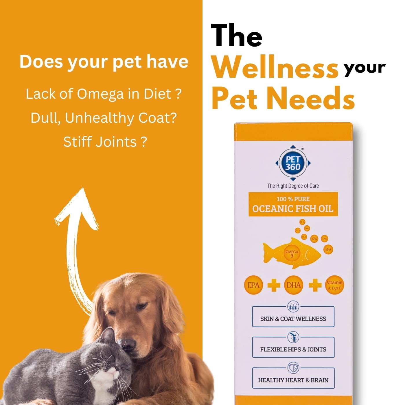 PET360 Oceanic Sardine Fish Oil for Dogs & Cats | Promotes Heart, Brain, Liver & Kidney Health | Reduced Hairfall, Shiny Coat | Omega 3, 6 & Vit. A, D, E| Nutritional Supplement for All Breeds- 200 ml