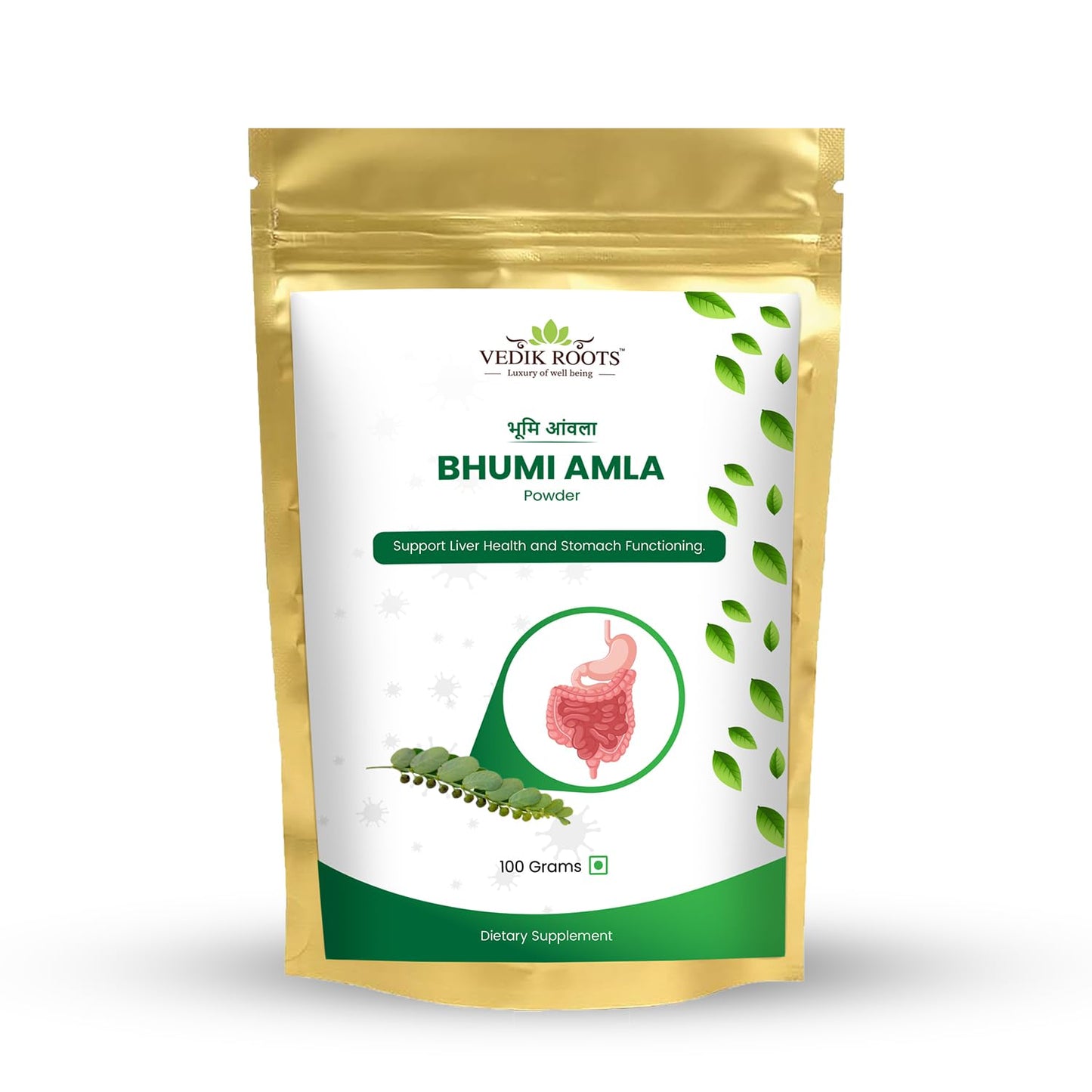 Bhumi Amla Powder/Churn - Organic And Pure Ingredient Extract For Healthy Liver Functioning And Digestive Strength | Enriched With Essential Nutrients (100 GM) (100 g (Pack of 1)