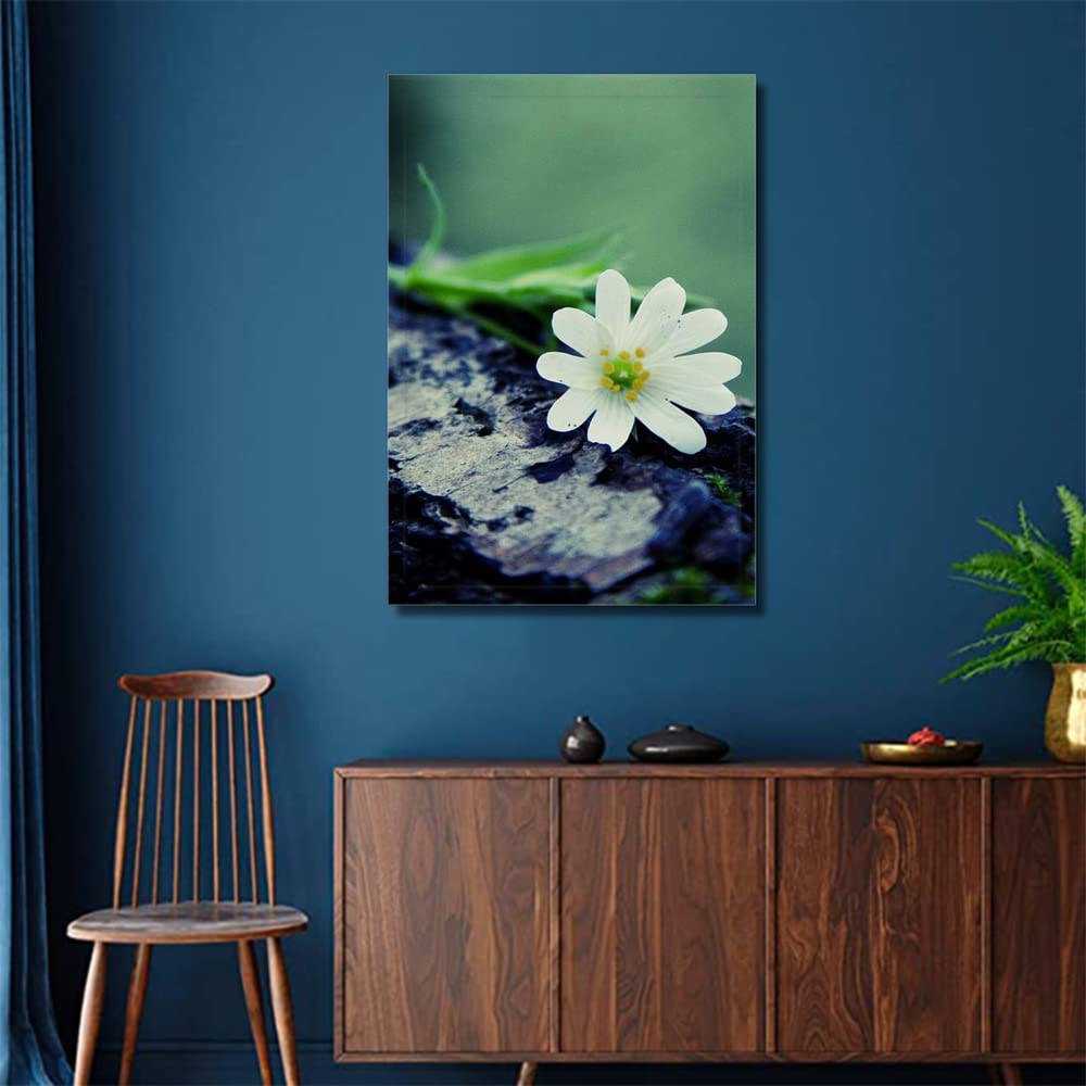 Printed Framed Canvas Painting for Home Decor Office Wall Studio Wall Living Room Decoration (10x14inch Wrapped) - White Single Flower