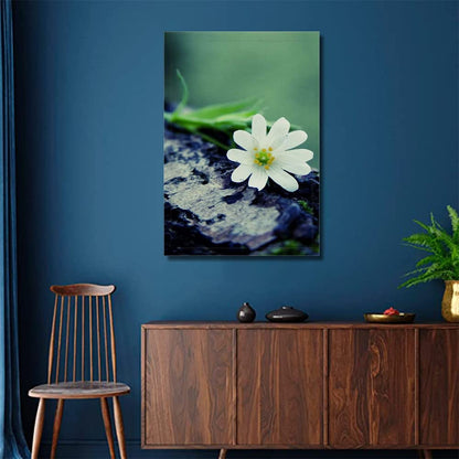 Printed Framed Canvas Painting for Home Decor Office Wall Studio Wall Living Room Decoration (10x14inch Wrapped) - White Single Flower
