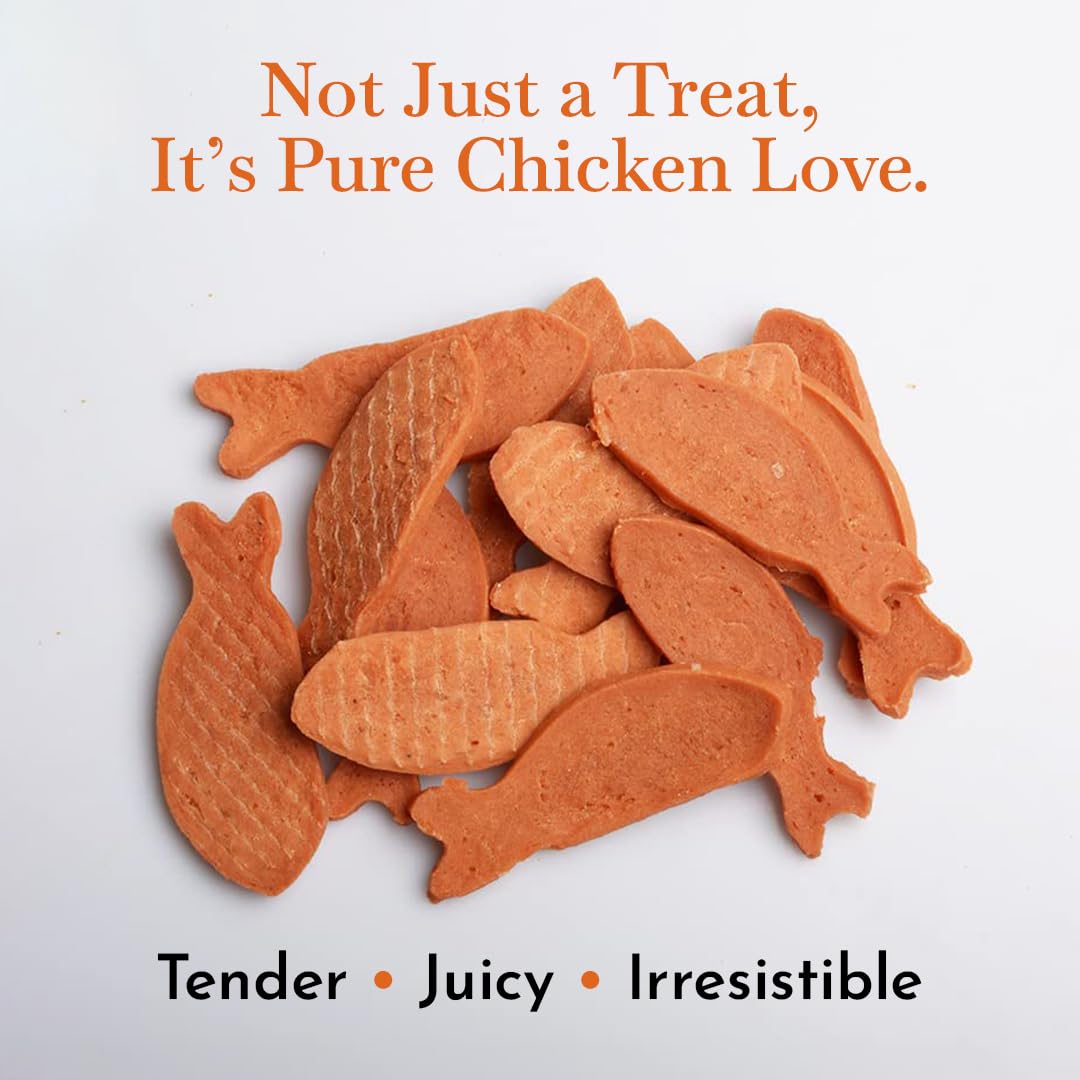 PETS EMPIRE O'Dog Fish Shape Salmon Fillet, Healthy Dog Treats, Chewy Dogs Bites for Training and Feeding, Made with Real Salmon, Non-Vegetarian Pup Snacks for Dogs, Puppies - 100g