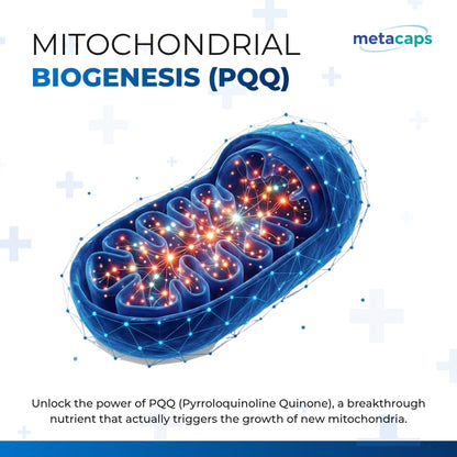 MetaCaps PQQ 20mg – 90 Veg Capsules | Ultra-Potent Mitochondrial Support & Brain Health Supplement | Enhances Energy, Focus & Cognitive Function | Advanced Antioxidant for Longevity | Non-GMO & Vegan