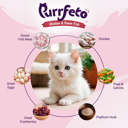 Purrfeto Kitten Dry Cat Food | Chicken & Ocean Fish | 1.2 kg | 40% Reduction in Urinary Track Diseases |Promotes Brain & Vision Development | Enhances Immunity | Improves Digestive Health