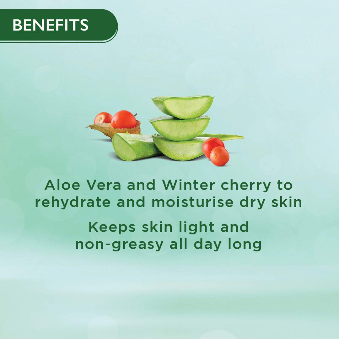 Aloe vera slices and winter cherry on a light green background with text about skin benefits.