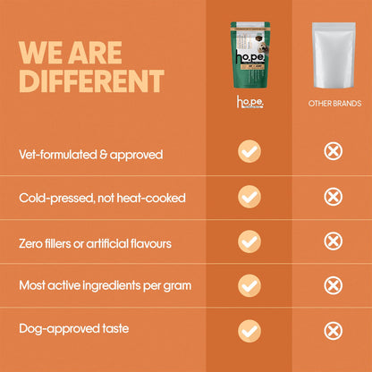 Hope Hip & Joint Health Supplement Dogs 30 Vegan hoplets | Pet Chews with Glucosamine, Chondroitin, MSM, Turmeric| Cold-Pressed | Air-Dried | Hypoallergenic | Dog Supplement |Honest Pet Co