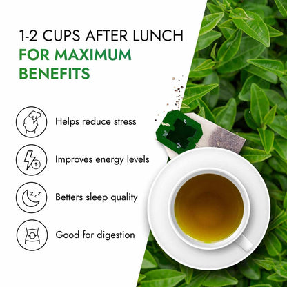 Kapiva Dia Foods Green Tea for Blood Sugar Care | Jamun, Gudmar, Methi, & 10 More