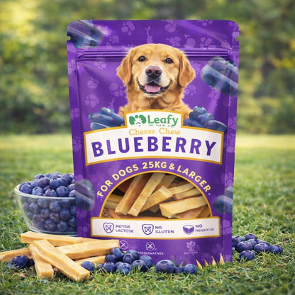 LeafyPaws Himalayan Cheese Chew Dog Treats (95g) | 100% Natural Long Lasting Yak Milk Chews for Medium & Large Dogs (25kg+) | Lactose Free, Grain Free, No Preservatives, Dental Support (Blueberry)