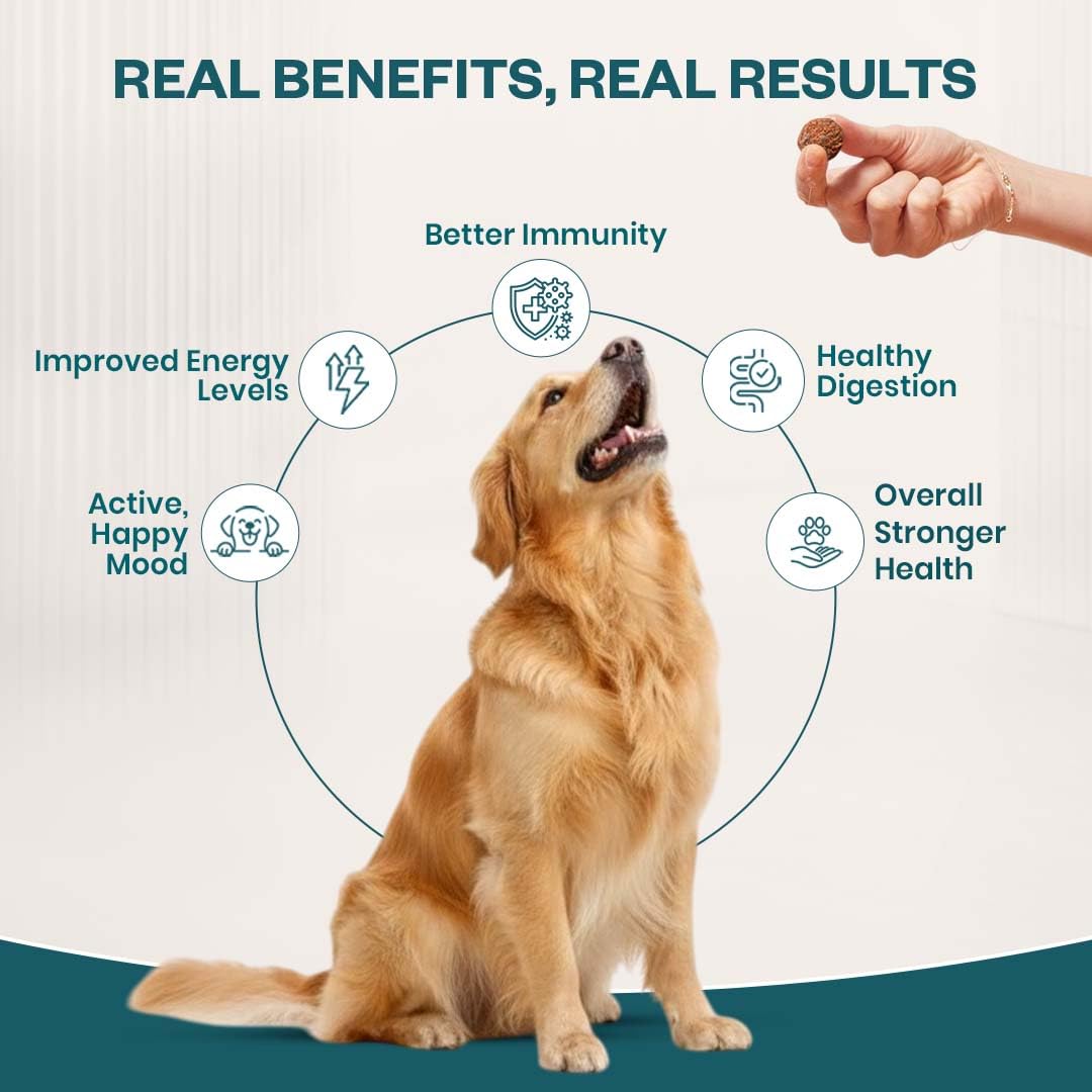 TailsAlive 15-in-1 Multivitamin Soft Chew Supplements for Dogs | Daily Vitamins & Minerals for Immunity, Energy & Growth | Cold-Pressed, Vet Approved | Chicken Flavour | For All Breeds - 90 Soft Chews