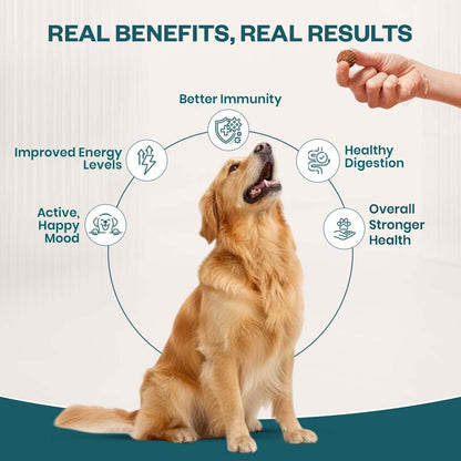 TailsAlive 15-in-1 Multivitamin Soft Chew Supplements for Dogs | Daily Vitamins & Minerals for Immunity, Energy & Growth | Cold-Pressed, Vet Approved | Chicken Flavour | For All Breeds - 90 Soft Chews