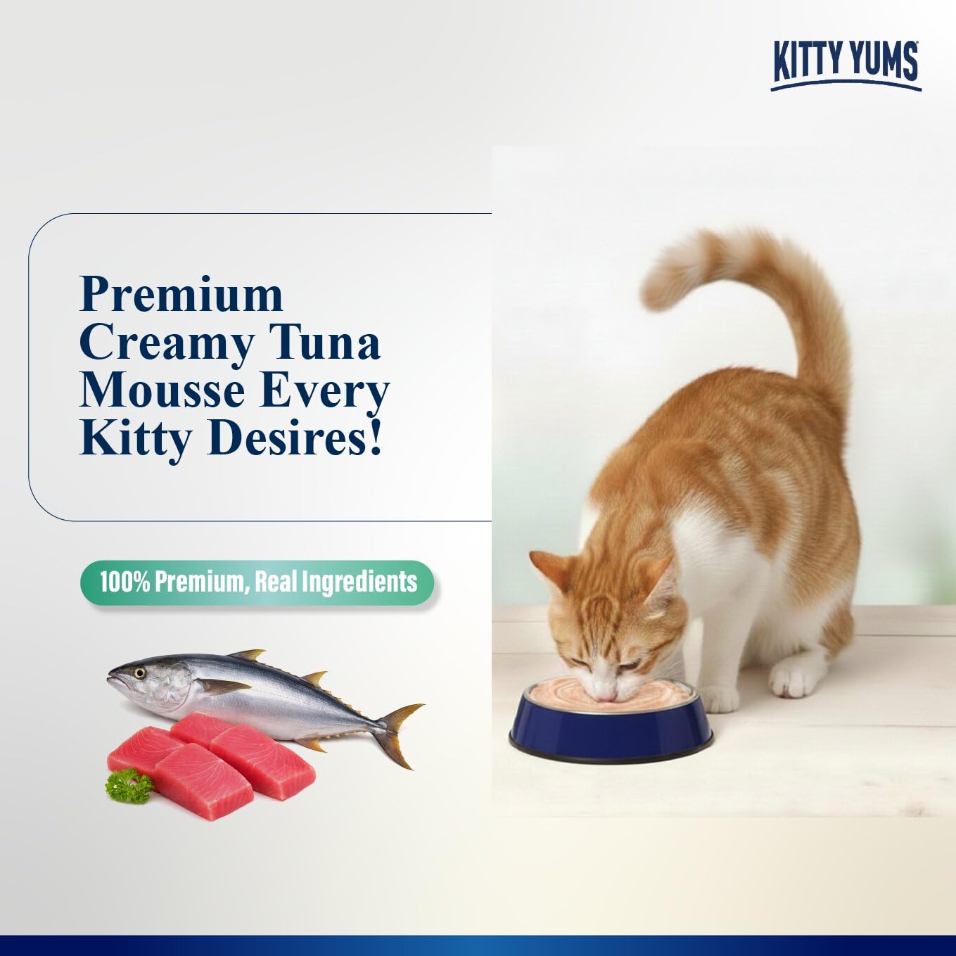 Kitty Yums Adult Cat Wet Mousse 80g | Tuna | Rich in Protein | Promotes Hydration & Easy to Digest | Grain Free | No Artificial Flavours | Packed with Essential Vitamins & Antioxidants