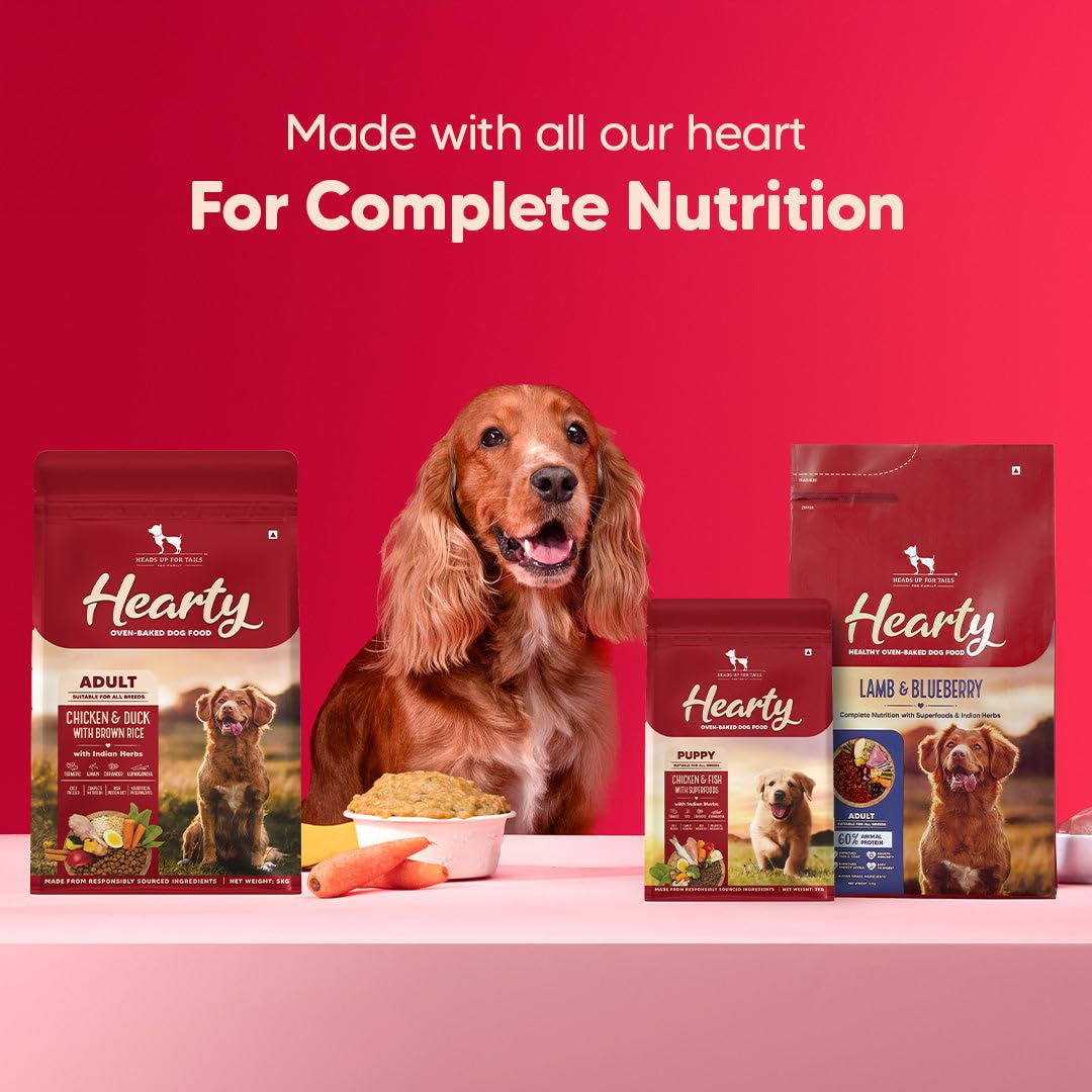 Hearty by HUFT Lamb & Blueberry Dry Dog Food – 250 gm | Adult Dog Food with Superfoods | Oven-Baked Kibble | Complete & Balanced Pet Nutrition | No Artificial Flavours or Fillers