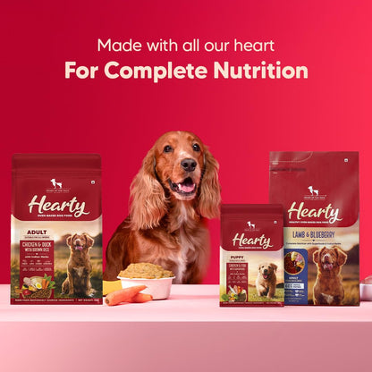 Hearty by HUFT Lamb & Blueberry Dry Dog Food – 250 gm | Adult Dog Food with Superfoods | Oven-Baked Kibble | Complete & Balanced Pet Nutrition | No Artificial Flavours or Fillers
