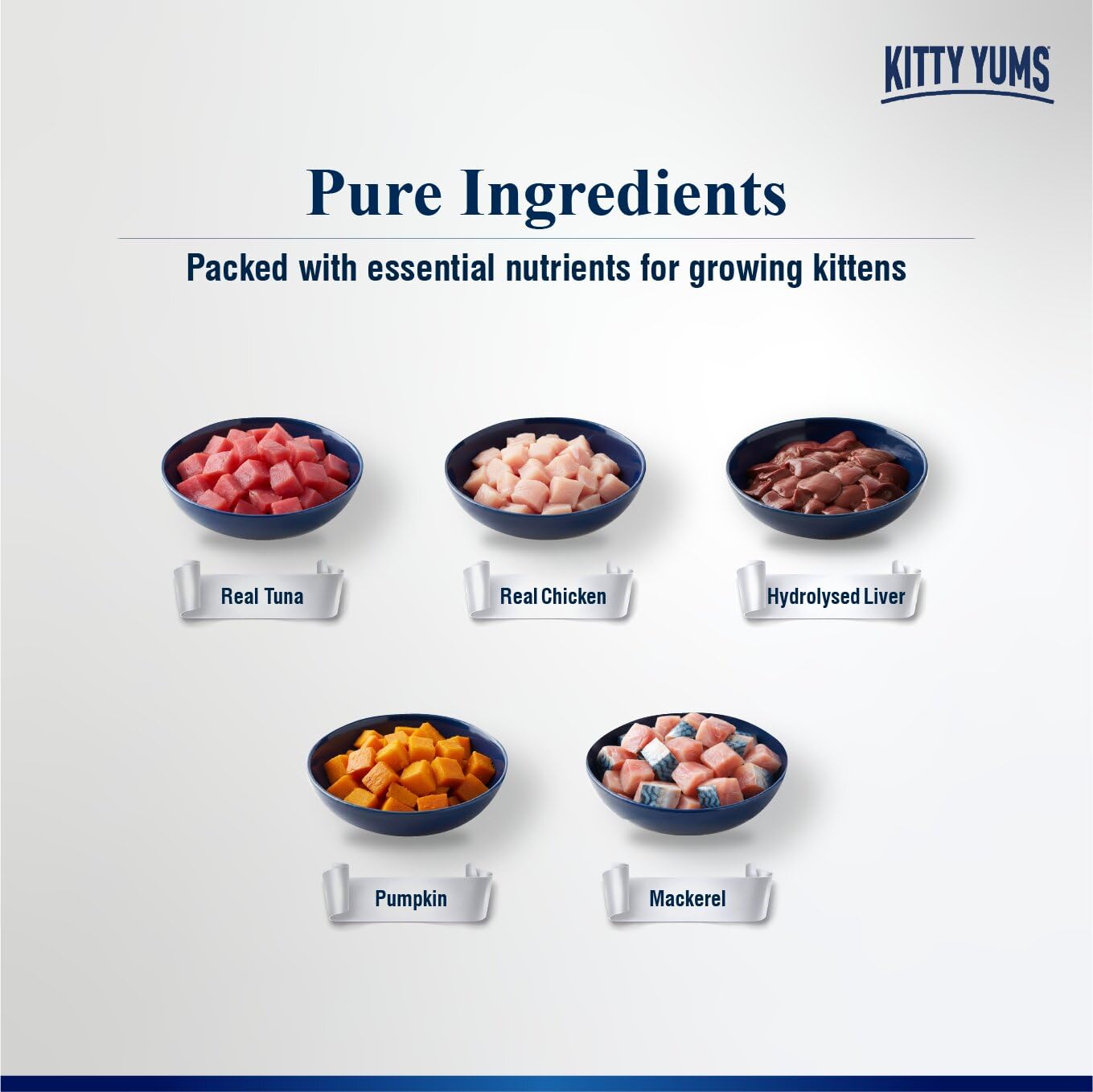Kitty Yums Kitten Wet Mousse 80g | Ocean Fish | Rich in Protein | Promotes Hydration & Easy to Digest | Grain Free | No Artificial Flavours |Packed with Essential Vitamins & Antioxidants