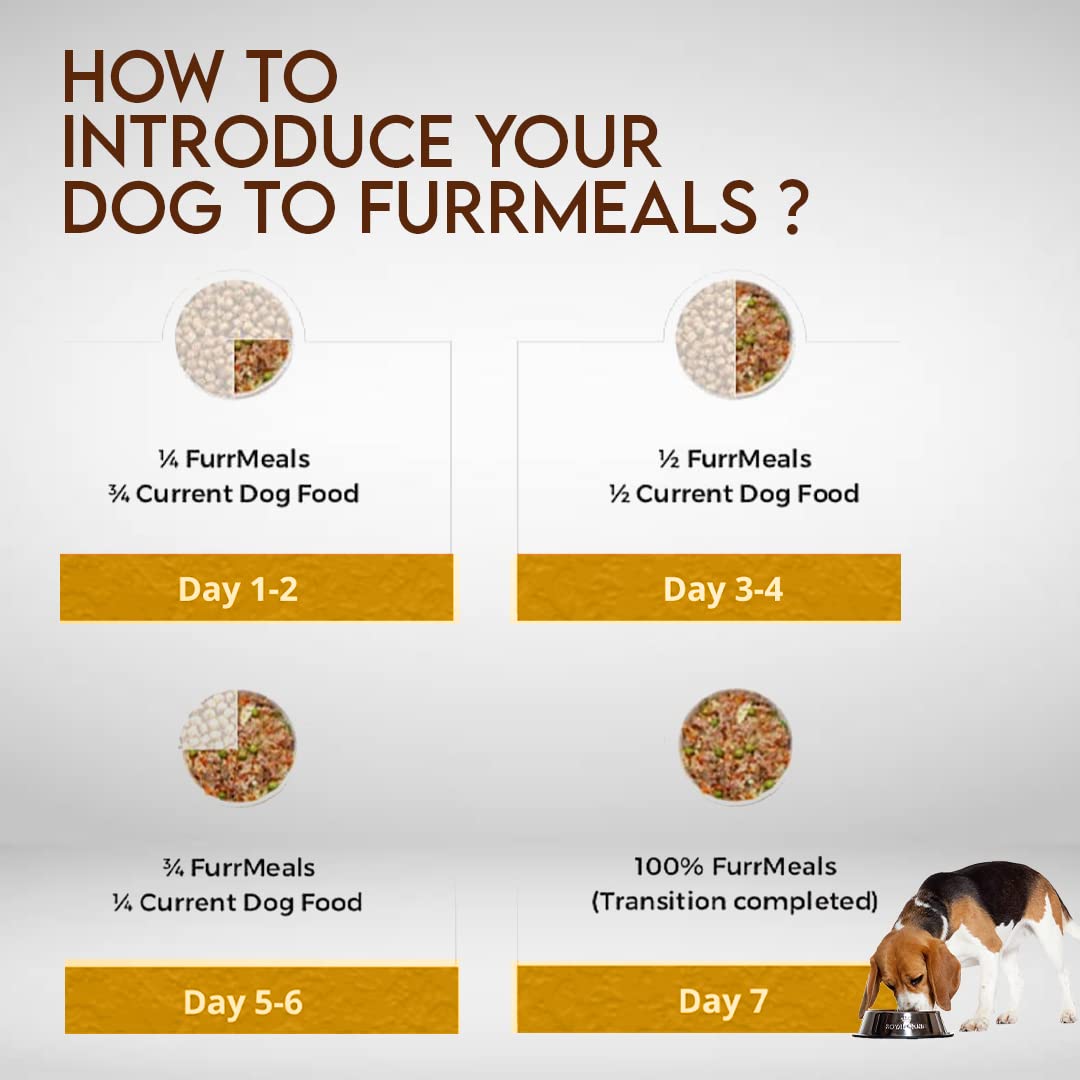FurrMeals Wet Dog Food | Chicken and Apple | Grain Free | Pack of 1 x 300g | All Breed | Preservative Free | Ready-to-Eat Fresh Dog Food,All Life Stages
