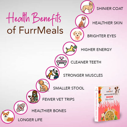FurrMeals Wet Puppy Food | Chicken and Spinach | Pack of 1 x 300g | All Breed | Gluten Free | Preservative Free | Ready-to-Eat Fresh Dog Food
