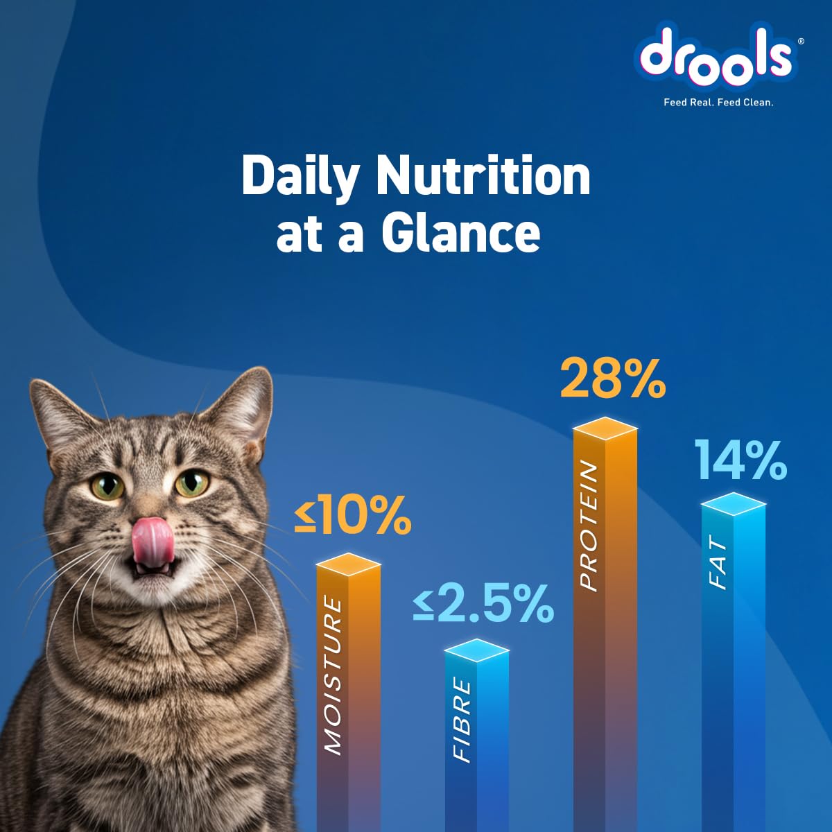 Drools Adult Dry Cat Food 1.2kg Pack | Mackerel Flavour | Enriched with Essential Nutrients | Supports Skin & Coat | Complete Nutrition | Aids Digestion | Promotes Growth