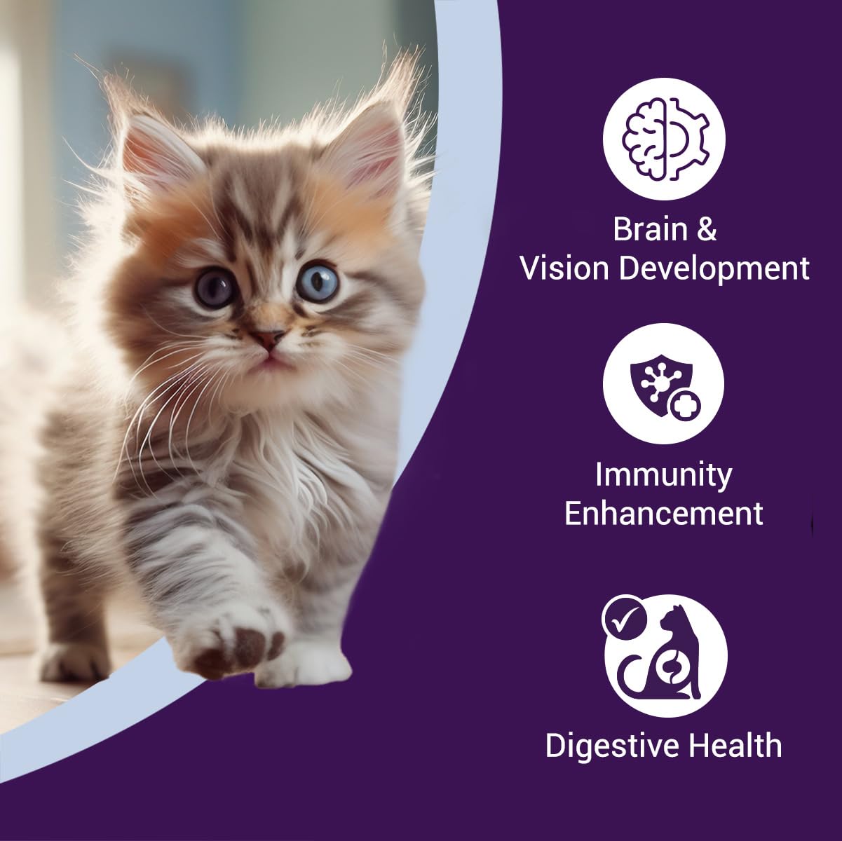 Purrfeto Kitten Dry Cat Food | Chicken & Rice | 1.2 kg |40% Reduction in Urinary Tract Diseases | Promotes Brain & Vision Development | Enhances Immunity |Improves Digestive Health