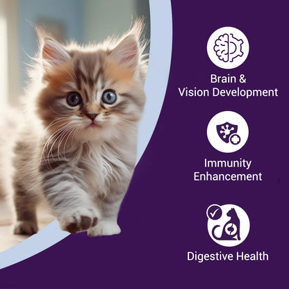Purrfeto Kitten Dry Cat Food | Chicken & Rice | 1.2 kg |40% Reduction in Urinary Tract Diseases | Promotes Brain & Vision Development | Enhances Immunity |Improves Digestive Health