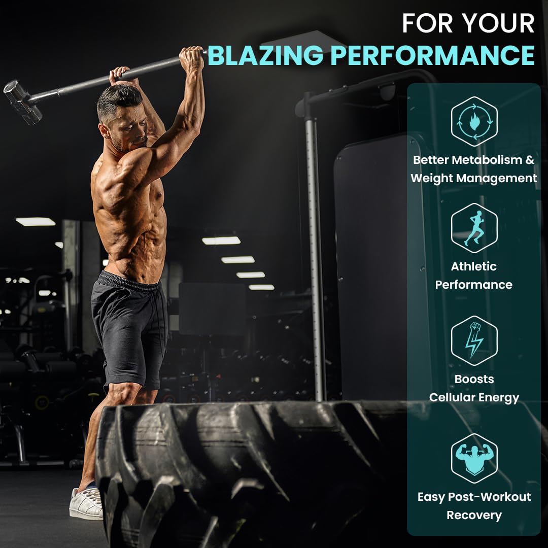 Naturyz Triple Strength L-Carnitine L-Tartrate 2000 Mg Converts Fat Into Energy|Cellular Energy & Endurance|Athletic Performance|Cutting Supplement - 50 Tablets,1 Count,50 Capsules