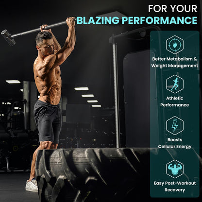 Naturyz Triple Strength L-Carnitine L-Tartrate 2000 Mg Converts Fat Into Energy|Cellular Energy & Endurance|Athletic Performance|Cutting Supplement - 50 Tablets,1 Count,50 Capsules