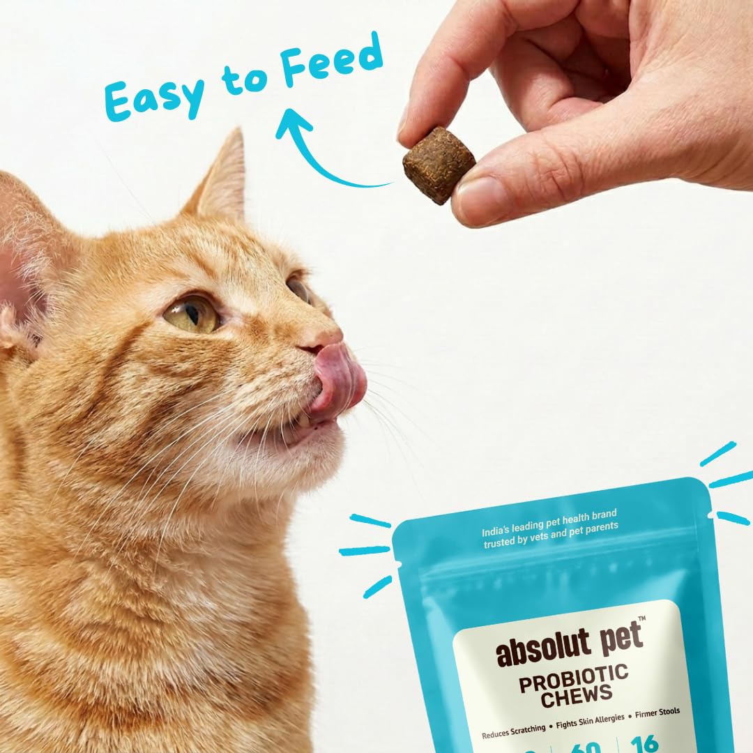 Absolut Pet Probiotic Chews for Cats, Gut Health & Itch Relief | 30 Chews | Probiotic support for feline digestion & balanced gut flora; helps reduce scratching, paw-licking & itching in cats.