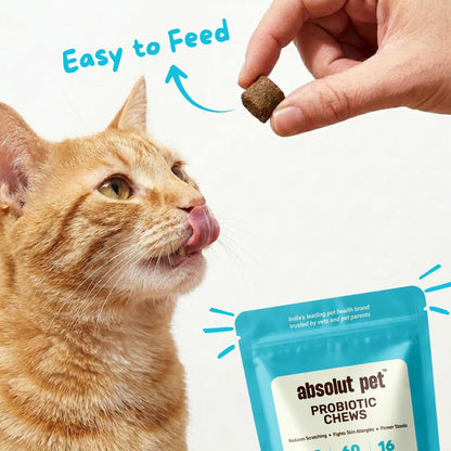 Absolut Pet Probiotic Chews for Cats, Gut Health & Itch Relief | 30 Chews | Probiotic support for feline digestion & balanced gut flora; helps reduce scratching, paw-licking & itching in cats.